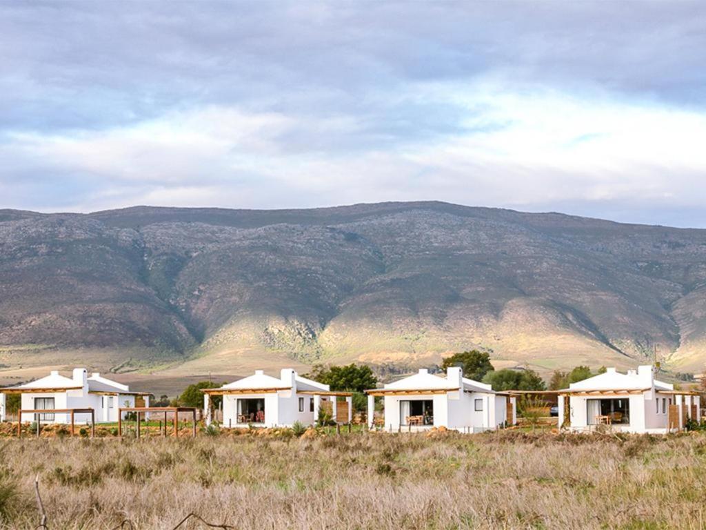 Hotel Duikersdrift Winelands Country Escape Tulbagh Exterior foto