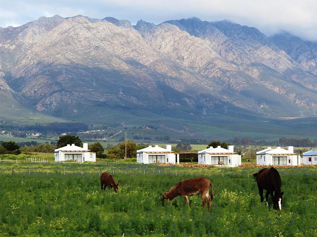 Hotel Duikersdrift Winelands Country Escape Tulbagh Exterior foto